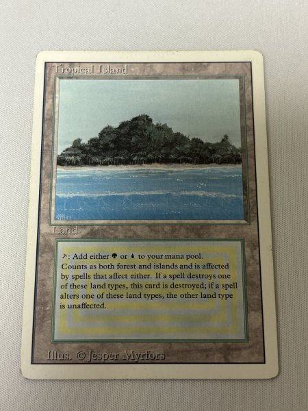 画像1: 《Tropical Island》[3ED] MP (1)