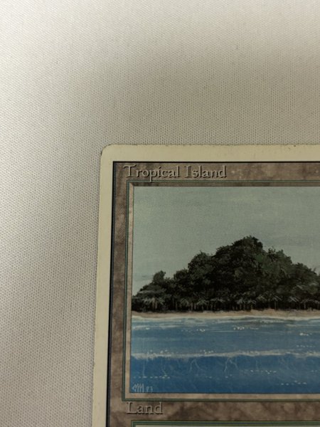 画像2: 《Tropical Island》[3ED] MP (2)