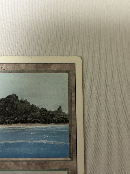 画像3: 《Tropical Island》[3ED] MP (3)