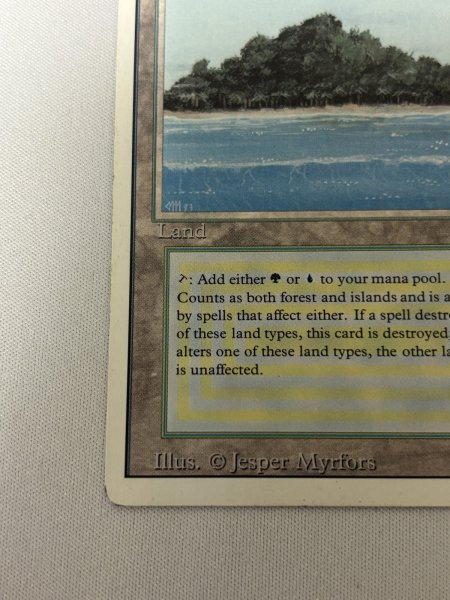 画像4: 《Tropical Island》[3ED] MP (4)