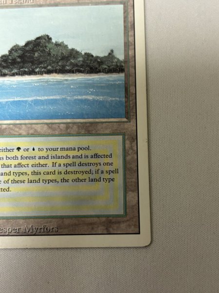 画像5: 《Tropical Island》[3ED] MP (5)