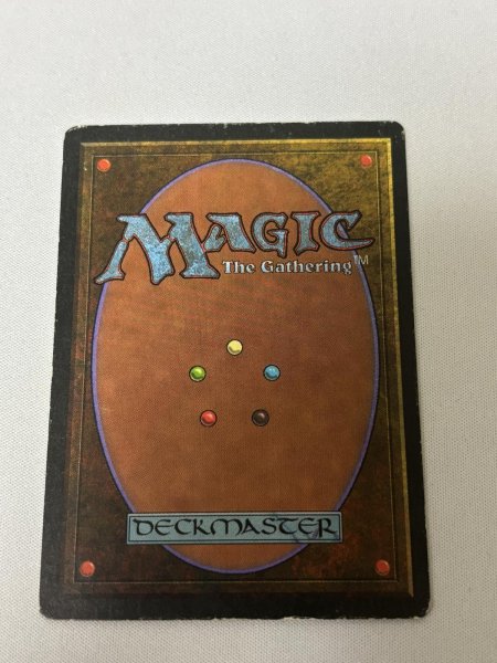 画像6: 《Tropical Island》[3ED] MP (6)