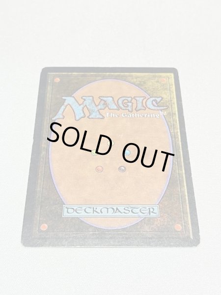 画像6: 《Underground Sea》[LEB] HP (6)