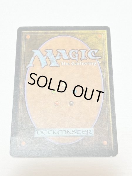 画像6: 《Tropical Island》 3ED SP (6)