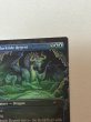 画像3: 【Foil】《濁浪の執政/Murktide Regent》[SLP] NM (3)