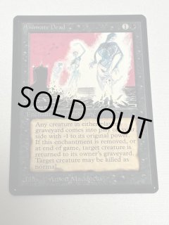 animate - MTG専門店 Initiative