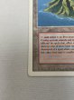 画像4: 《Volcanic Island》[3ED] HP (4)