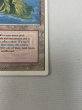 画像5: 《Volcanic Island》[3ED] HP (5)