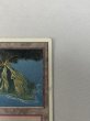画像3: 《Volcanic Island》[3ED] HP (3)