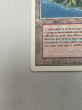 画像4: 《Volcanic Island》[3ED] HP (4)