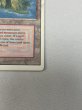 画像5: 《Volcanic Island》[3ED] HP (5)