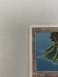 画像2: 《Volcanic Island》[3ED] HP (2)