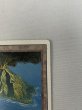 画像3: 《Volcanic Island》[3ED] HP (3)