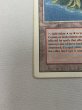 画像4: 《Volcanic Island》[3ED] HP (4)