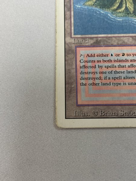 画像4: 《Volcanic Island》[3ED] HP (4)