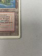 画像5: 《Volcanic Island》[3ED] HP (5)