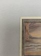 画像2: 《Underground Sea》[3ED] MP (2)