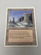 画像1: 《Plateau》[3ED] MP (1)
