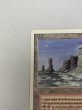 画像2: 《Plateau》[3ED] MP (2)