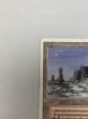 画像2: 《Plateau》[3ED] HP (2)