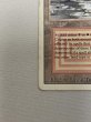 画像4: 《Plateau》[3ED] HP (4)