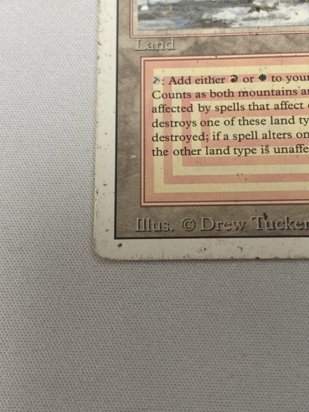 画像4: 《Plateau》[3ED] HP (4)