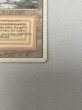 画像5: 《Plateau》[3ED] HP (5)
