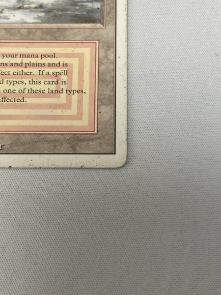 画像5: 《Plateau》[3ED] HP (5)