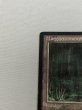 画像2: ドイツ語《Bayou》[FBB] HP (2)