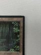 画像3: ドイツ語《Bayou》[FBB] HP (3)