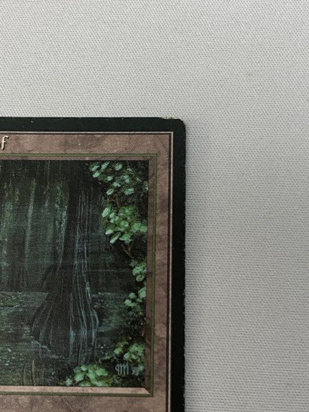 画像3: ドイツ語《Bayou》[FBB] HP (3)