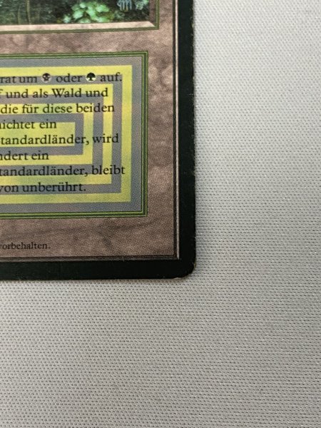 画像5: ドイツ語《Bayou》[FBB] HP (5)