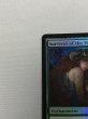 画像2: 《適者生存/Survival of the Fittest》[ジャッジ褒賞] SP (2)