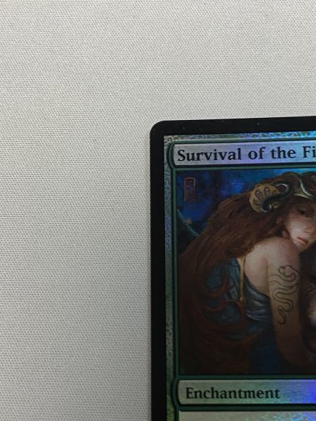 画像2: 《適者生存/Survival of the Fittest》[ジャッジ褒賞] SP (2)