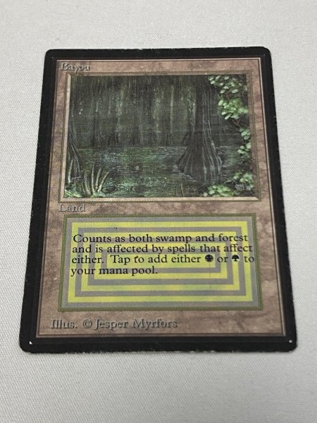 画像1: 《Bayou》[LEB] MP (1)