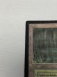 画像2: 《Bayou》[LEB] MP (2)