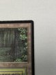 画像3: 《Bayou》[LEB] MP (3)