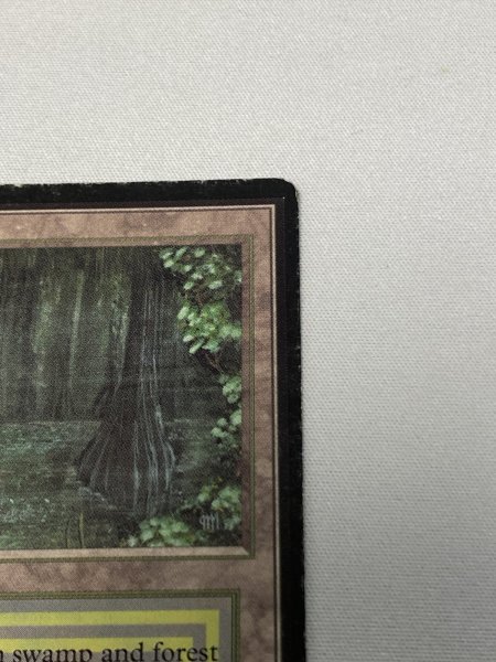 画像3: 《Bayou》[LEB] MP (3)