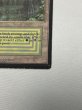 画像5: 《Bayou》[LEB] MP (5)