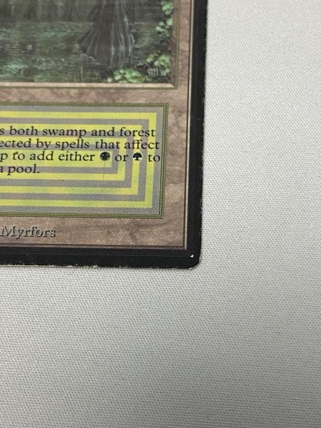 画像5: 《Bayou》[LEB] MP (5)