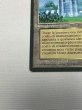 画像4: イタリア語《The Tabernacle at Pendrell Vale》[LEG] HP (4)