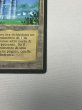 画像5: イタリア語《The Tabernacle at Pendrell Vale》[LEG] HP (5)