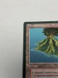 画像2: フランス語《Volcanic Island》[FBB] MP (2)