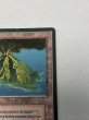 画像3: フランス語《Volcanic Island》[FBB] MP (3)