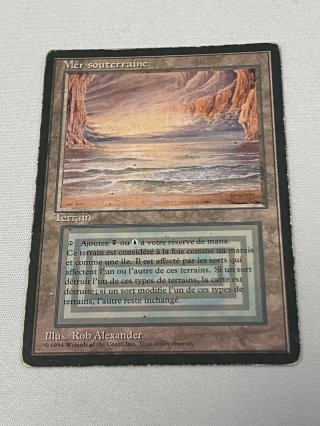 デュアルランド/Dual Land - MTG専門店 Initiative