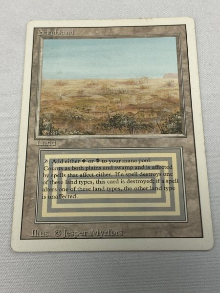画像1: 《Scrubland》[3ED] Poor (1)