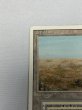 画像2: 《Scrubland》[3ED] Poor (2)