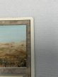 画像3: 《Scrubland》[3ED] Poor (3)
