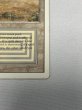 画像5: 《Scrubland》[3ED] Poor (5)