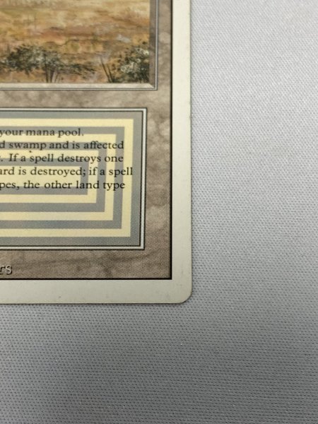 画像5: 《Scrubland》[3ED] Poor (5)
